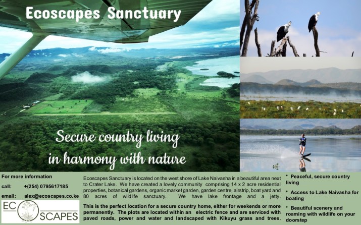 5x8 poster June 2018