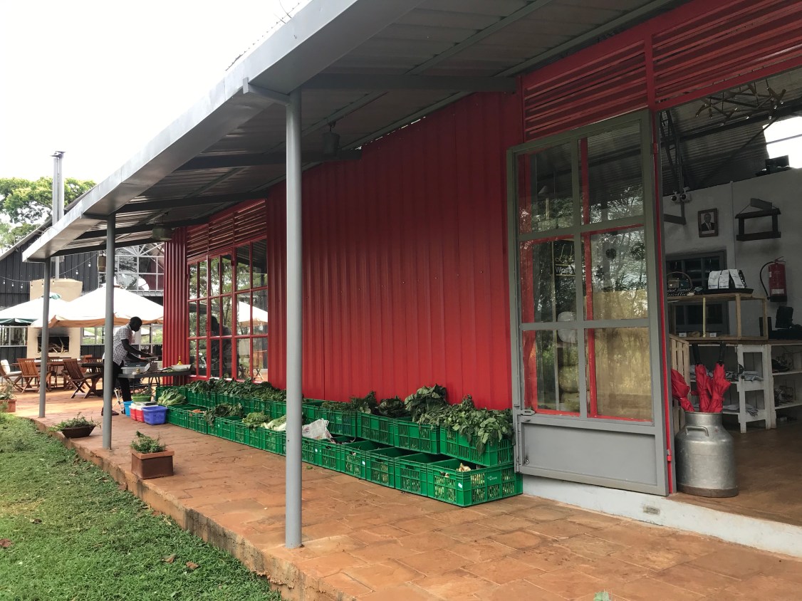 XHeE%2UdRjaWKdUxaTdP5Q